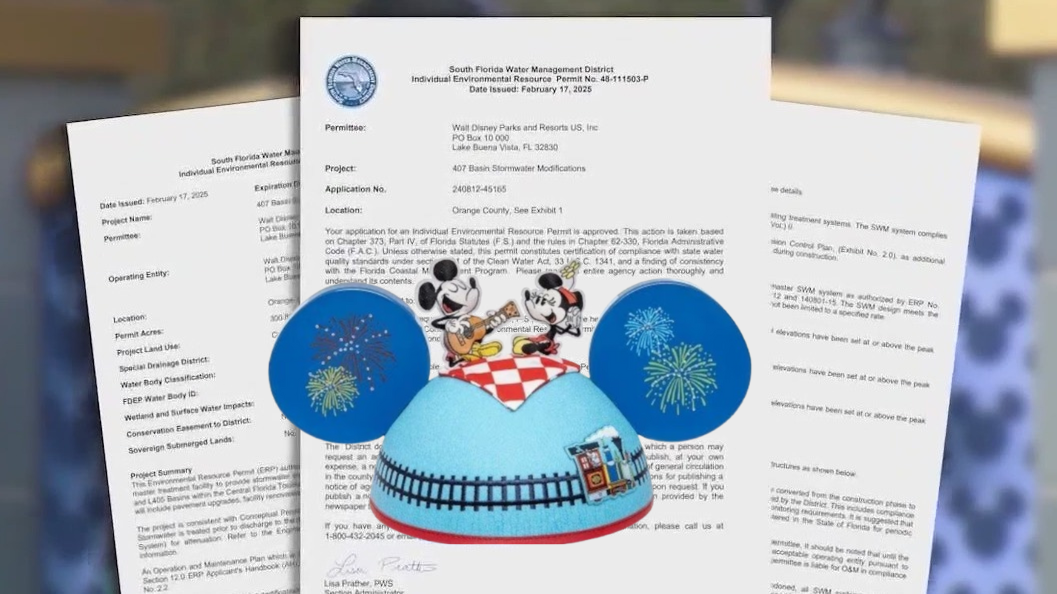 Future 5th Disney World Park? Planning Document Reveals Long-Term Expansion Possibilities
