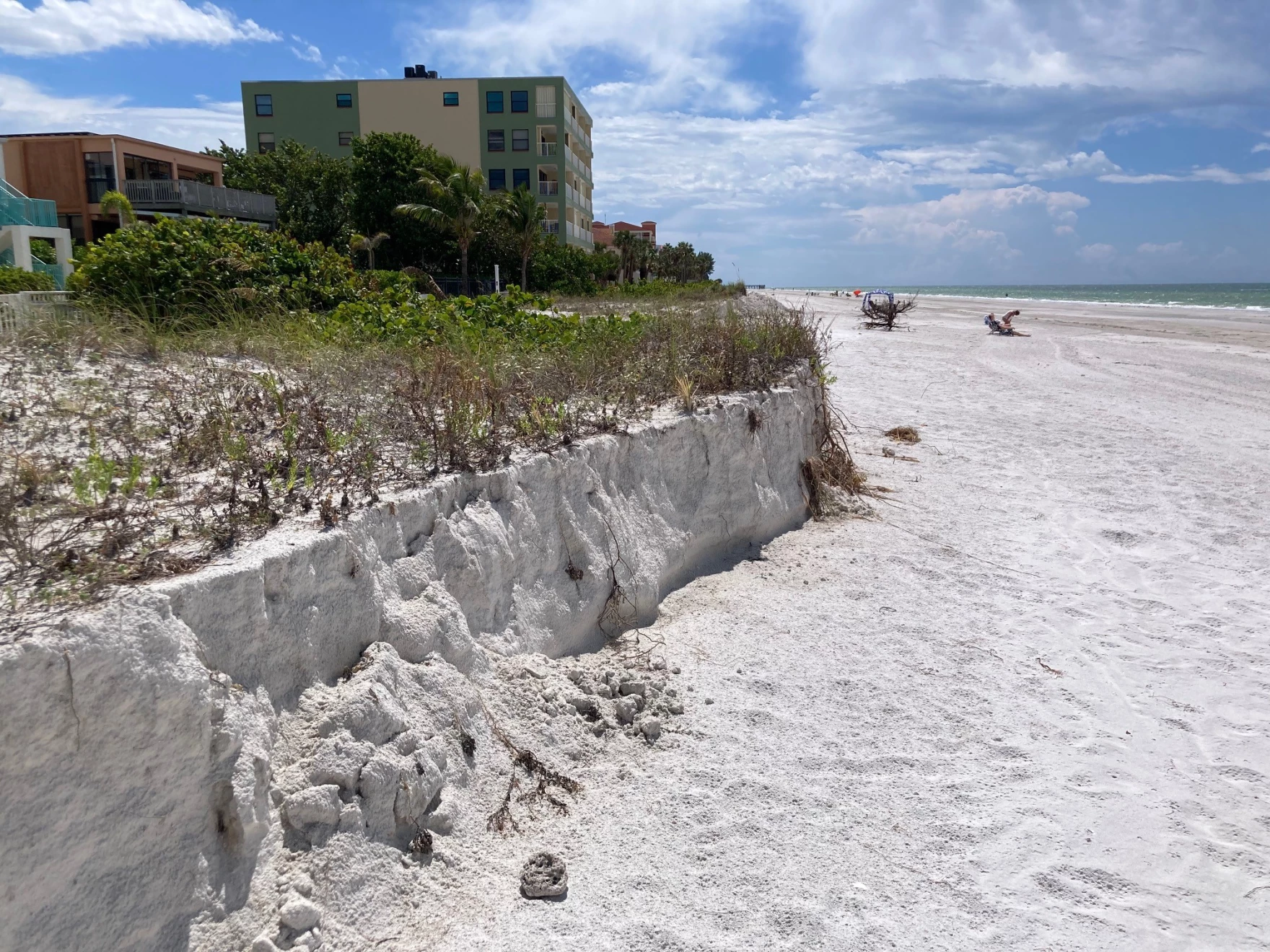 Pinellas County Greenlights $125M Dune Restoration to Fortify Coastline After Hurricane Damage