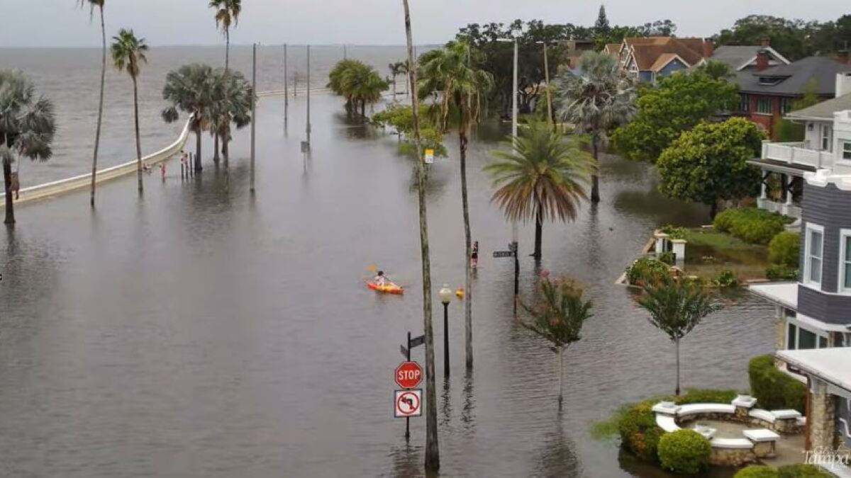 South Tampa Neighbors Still Wary of Flood Risk as More Rain Approaches
