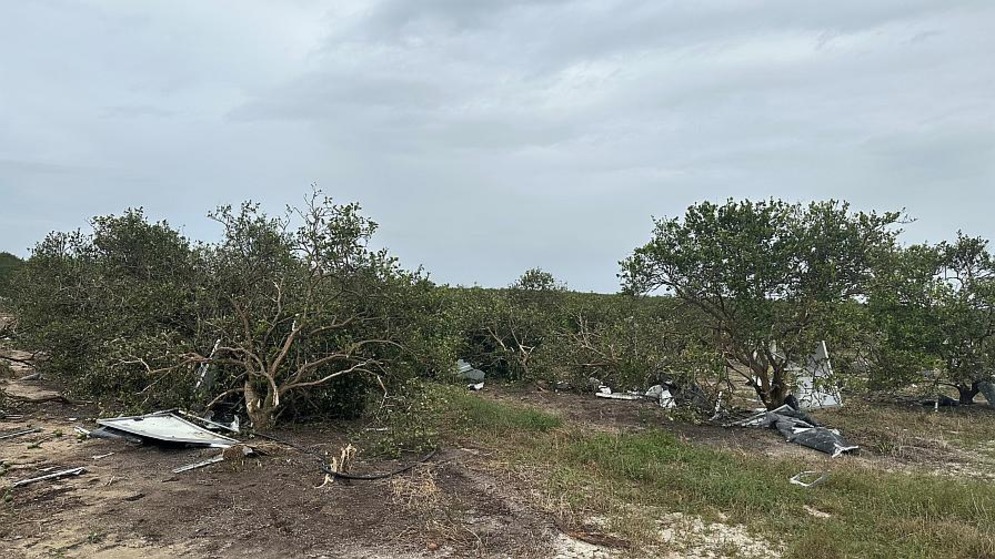 AI Tool Could Soon Help Florida Farmers Assess Hurricane Crop Damage in Real Time