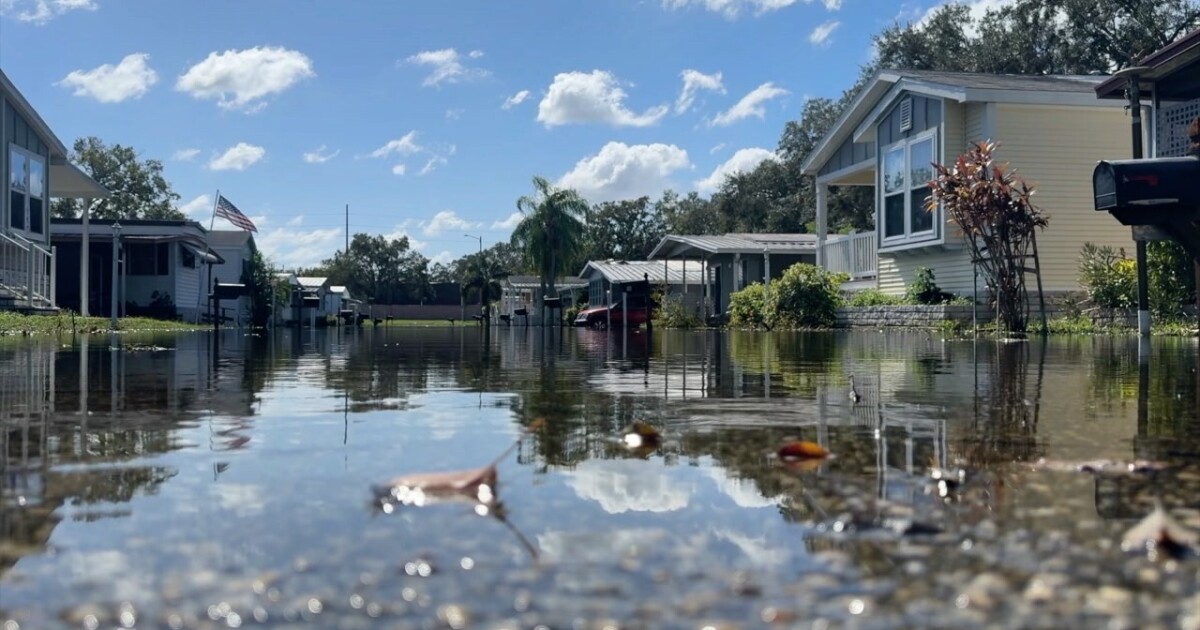 Tampa Launches Public Meetings to Tackle Flooding Concerns—Here’s How to Get Involved