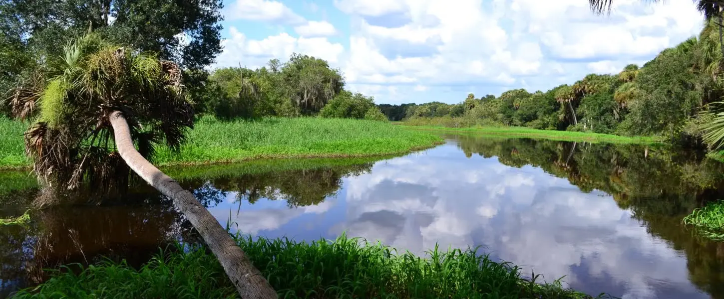 Manatee County Residents Push to Safeguard Myakka River Despite State Hurdles