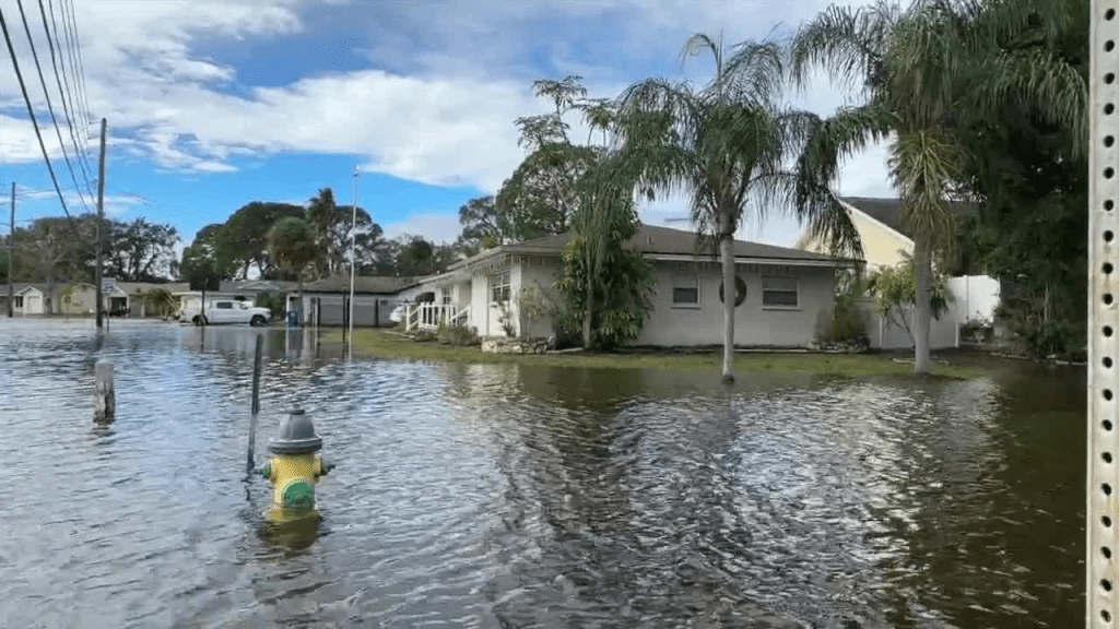 Shore Acres Residents Split as State Weighs ‘Elevate Florida’&nbsp;Applications