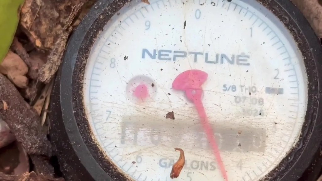 St. Petersburg Water Bill Crisis&nbsp;Continues