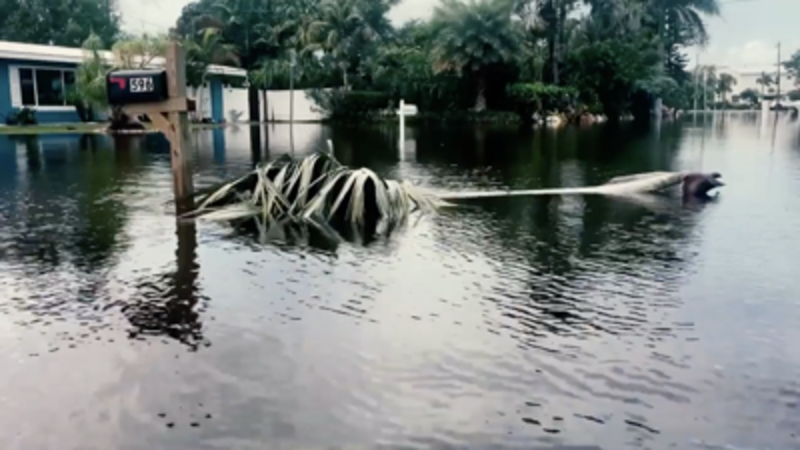 Dunedin Addresses Tidal Flooding in Coastal Neighborhoods