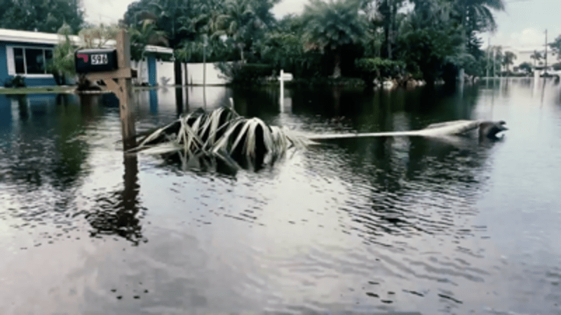 Dunedin Addresses Tidal Flooding in Coastal&nbsp;Neighborhoods