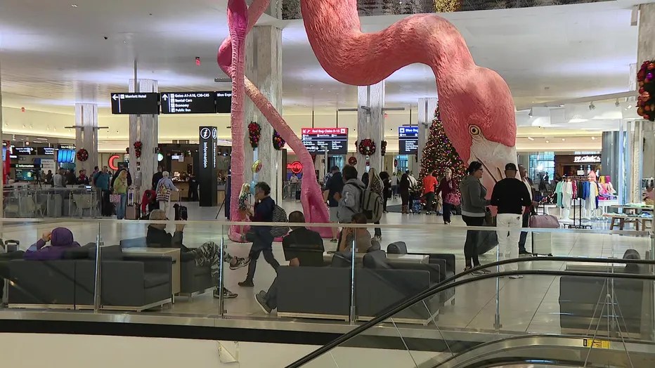 Tampa International Airport Experiences Busiest Travel Day of Thanksgiving&nbsp;Weekend
