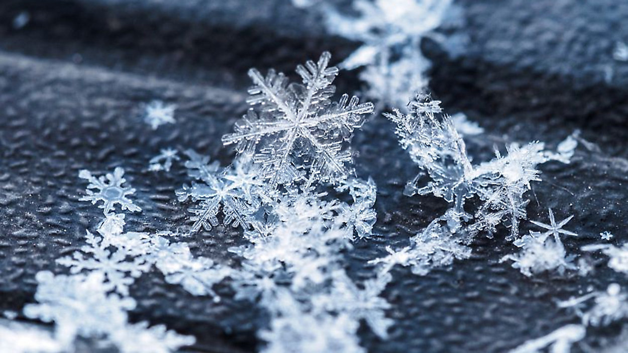 Meteorologists Monitor Potential for Rare Gulf-Effect Snow in Florida