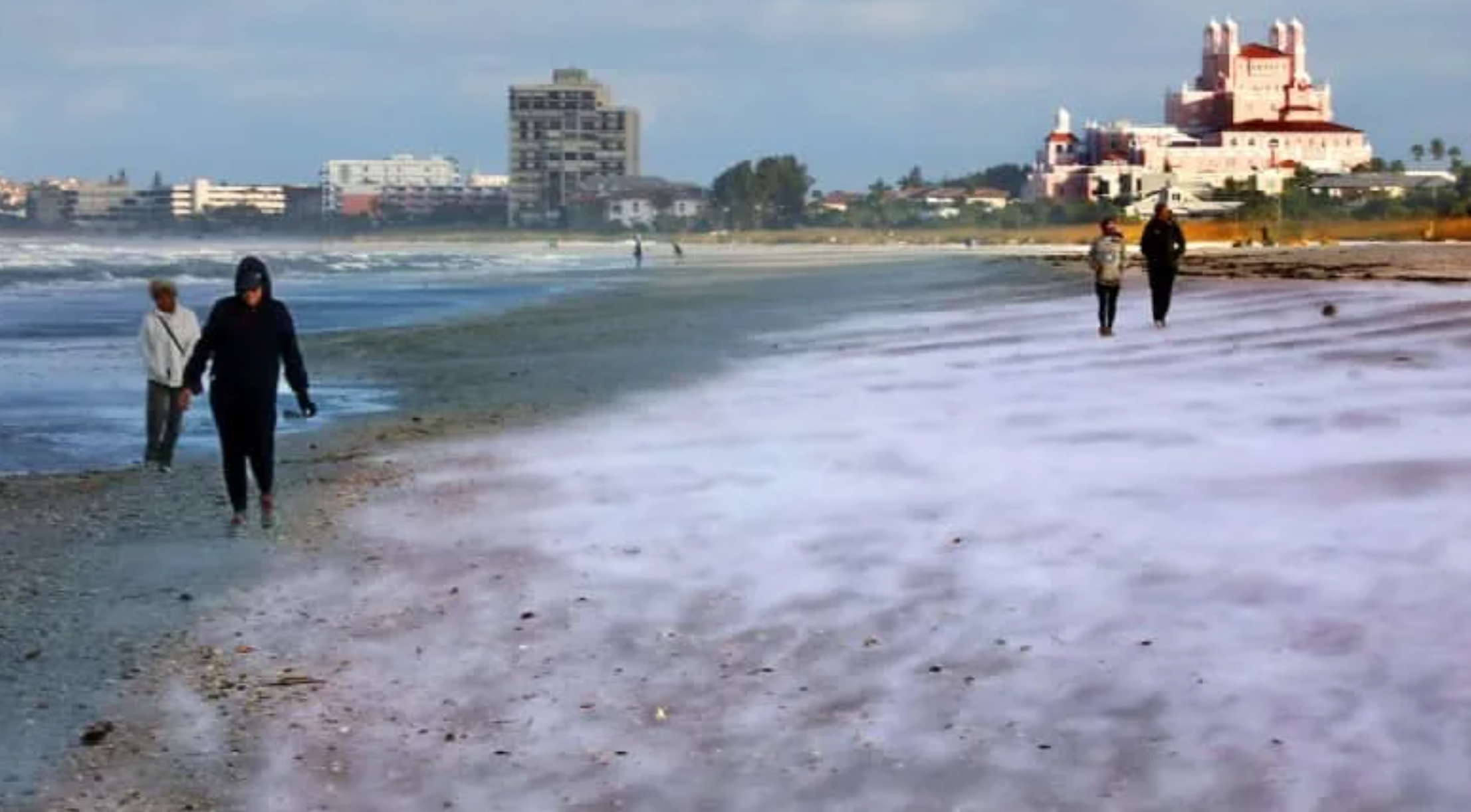 Tampa Bay Area Faces Rare Cold Snap with Possible Gulf Effect Snow