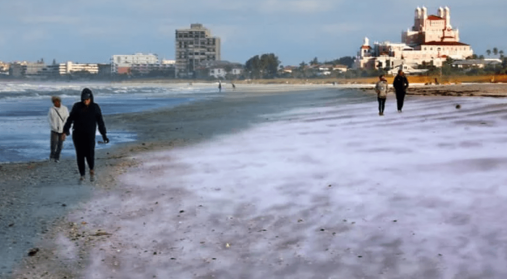 Tampa Bay Area Faces Rare Cold Snap with Possible Gulf Effect&nbsp;Snow