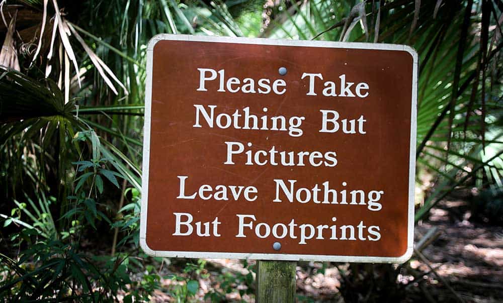 Florida State Parks to Offer Free Admission for Presidents Day Weekend