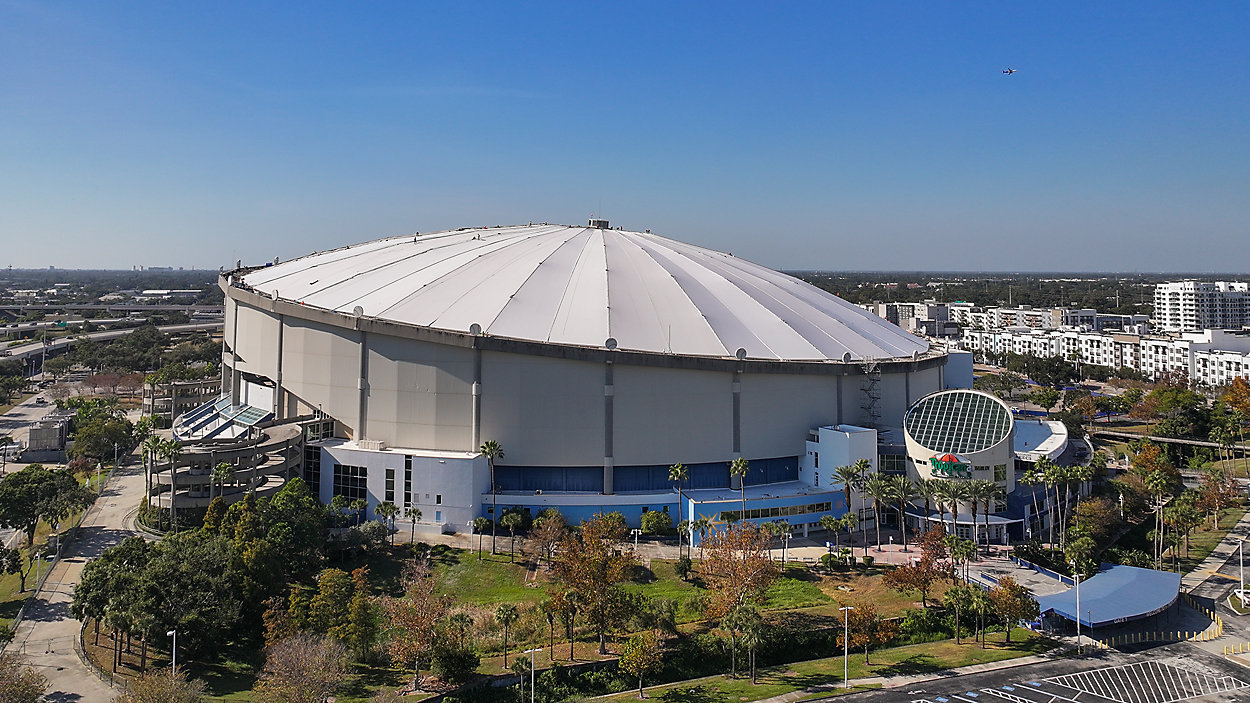 Rays to Host Free Fan Fest Block Party Saturday
