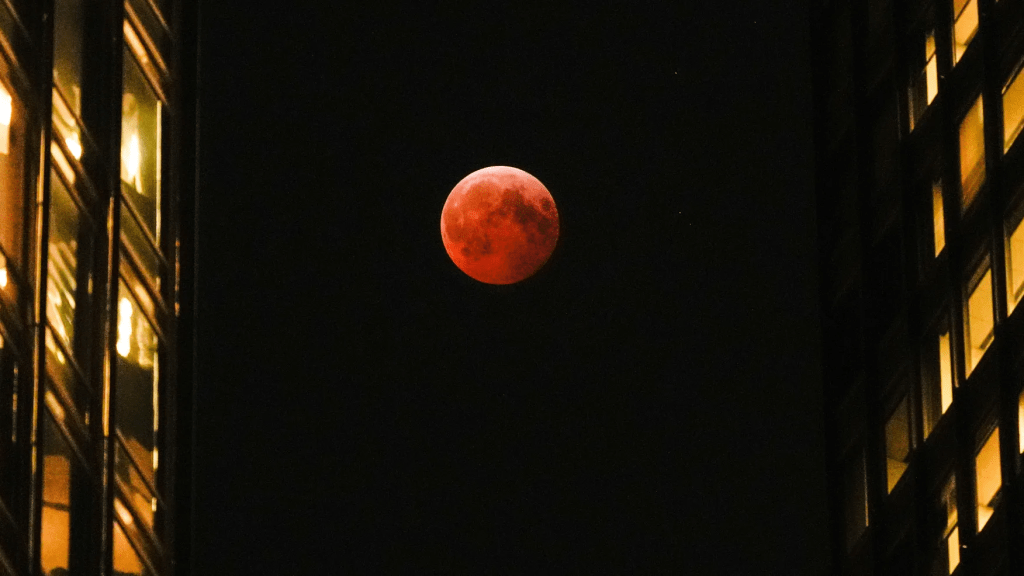 “Blood Moon” to Grace Tampa Bay Skies Tuesday Morning
