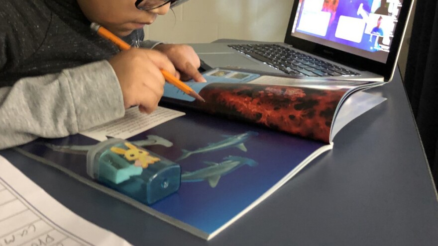 Virtual School Enrollment Growing in Sarasota County