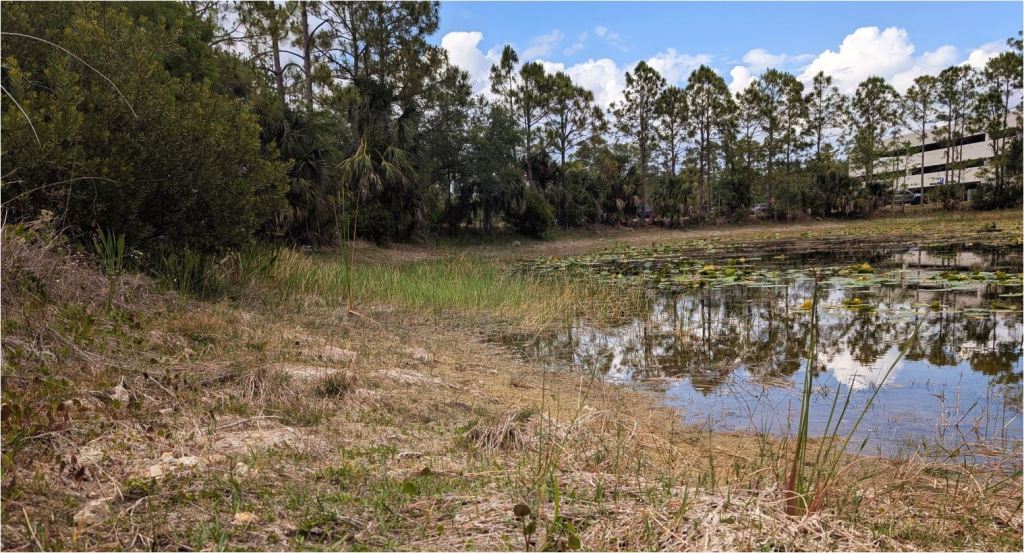 Florida Drought Deepens as Tampa Bay Region Falls Far Behind on&nbsp;Rainfall