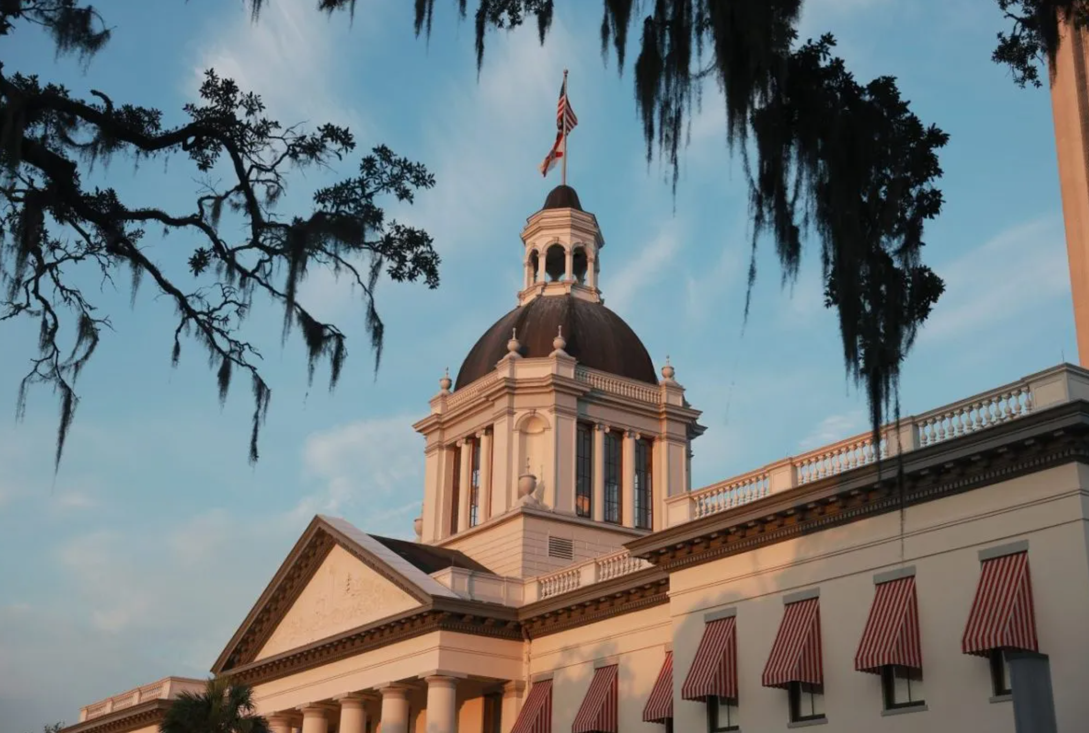 Florida Senator Files Bill to Strengthen Grandparent Visitation Protections