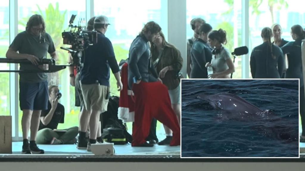 Christmas Movie Filming at Clearwater Marine Aquarium Features Holiday Romance and Dolphin&nbsp;Rescue