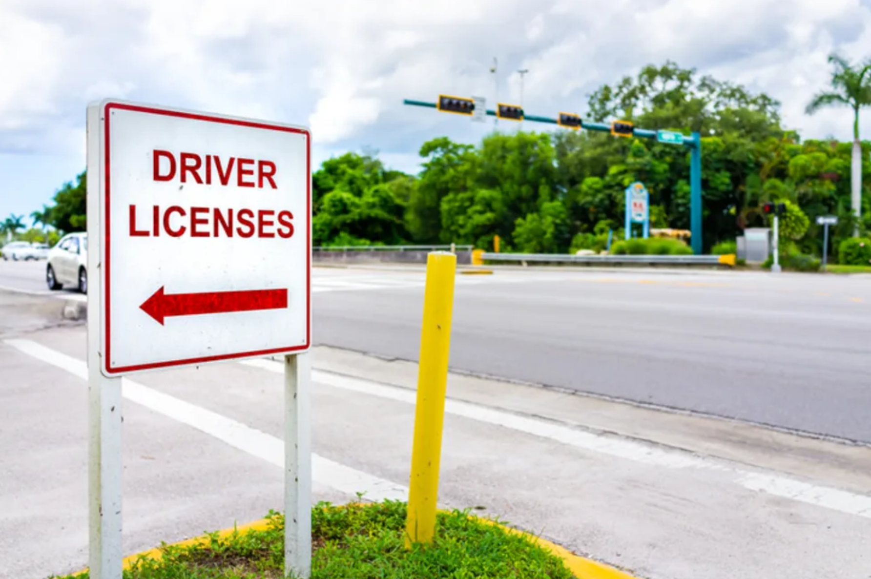Florida Tax Collectors Demand Fixes to State DMV System Plagued by Outages