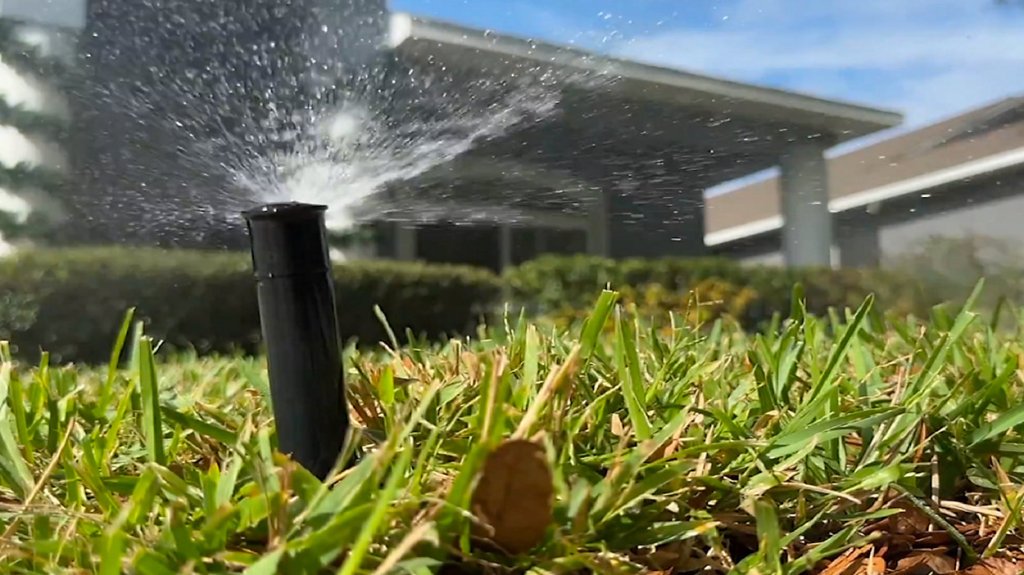 Tampa Water Violations Up Nearly 30% Amid Regional Drought&nbsp;Restrictions