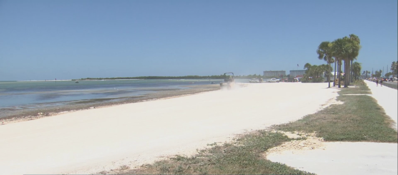 Dunedin Moves Toward Permanent Ban on Jet Ski Launches at Causeway as Seagrass Rebounds