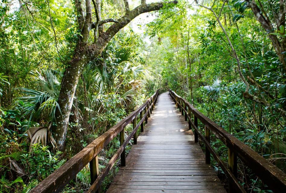 Florida Waives Park Fees for 250th Birthday Weekend — Here’s What’s Still Not Free