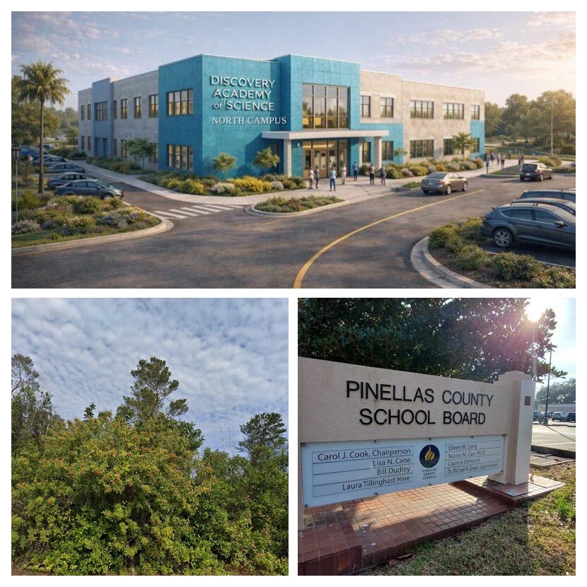 Greenspace Preservation Effort Accidentally Uncovers Deeper Problems with Public Schools