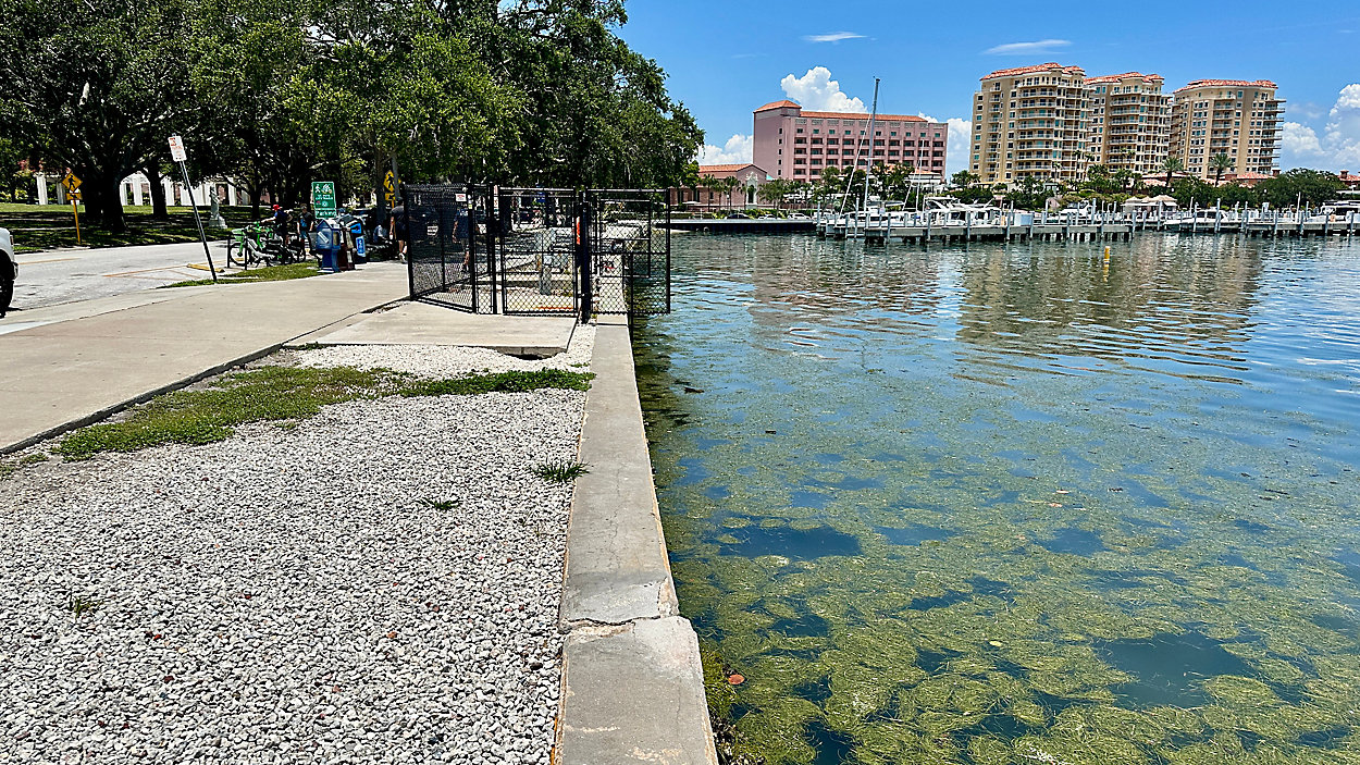 Tampa Bay Ferry Clears Final Hurdle as St. Pete Council Votes on Dock Deal