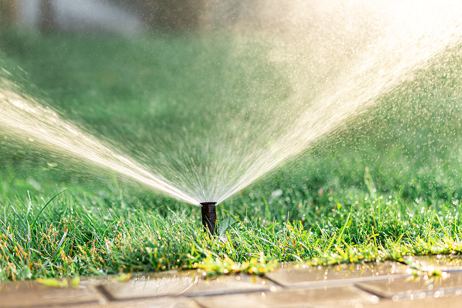Tampa Shuts Off Reclaimed Water for Every Customer With No Fix in Sight